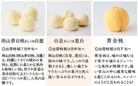 【ご家庭用】岡山白桃「白皇もしくは恵白」5～7玉
