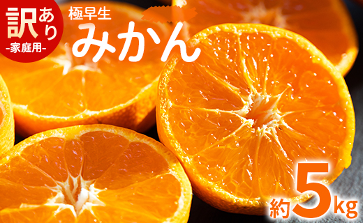 みかん 極早生 5kg 家庭用 訳あり 極早生みかん 約5kg - 家庭用 フルーツ みかん 柑橘 be-0068