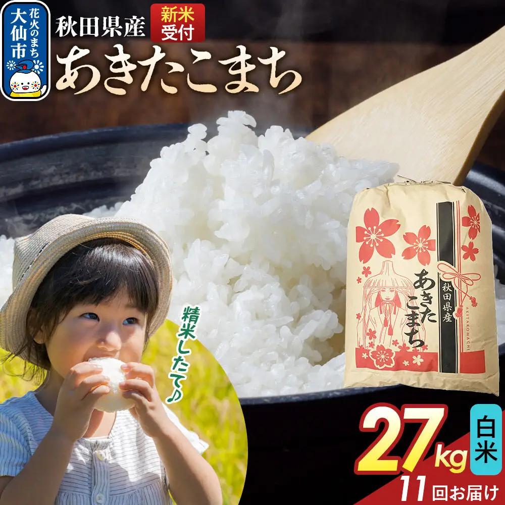《令和8年産新米予約》 《定期便11ヶ月》【白米】あきたこまち 27kg 秋田県産  こまちライン 秋田県 大仙市産