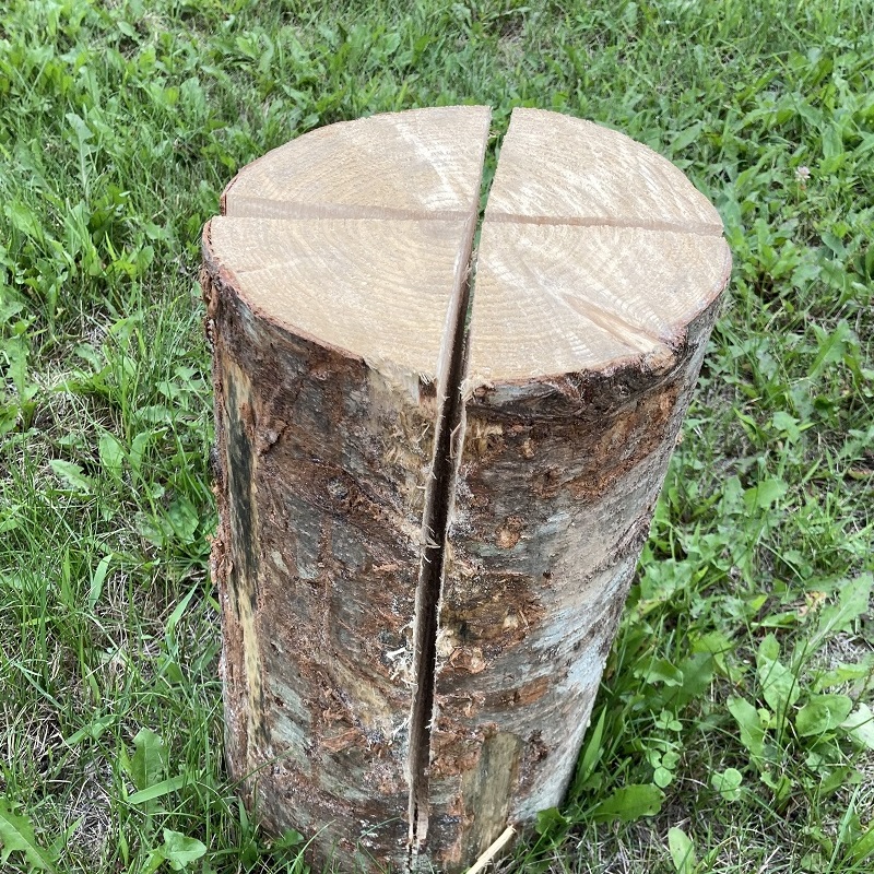 北海道　キャンパー注目！アウトドア用スエーデントーチ