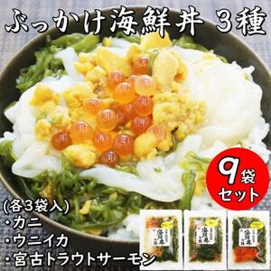 メカブ・イクラ入り!川秀のぶっかけ海鮮丼の具(ウニイカ・カニ・宮古トラウトサーモン)計9袋冷凍セット【配送不可地域：離島】【1635147】