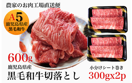 鹿児島県産黒毛和牛 5等級切落し600g 水迫畜産 013-1291 牛肉 牛肉 