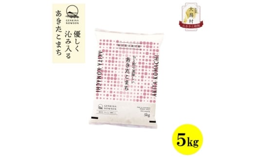 ＜毎月定期便＞秋田県産あきたこまち白米5kg(5kg×1)全3回【4072862】