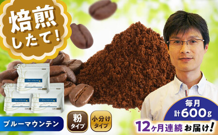 【全12回定期便】ブルーマウンテンNo.1　コーヒー粉　200g×3個(粉/中挽き)  / コーヒー  ドリップ  粉 / Coffee SAKURA[BBAB093]