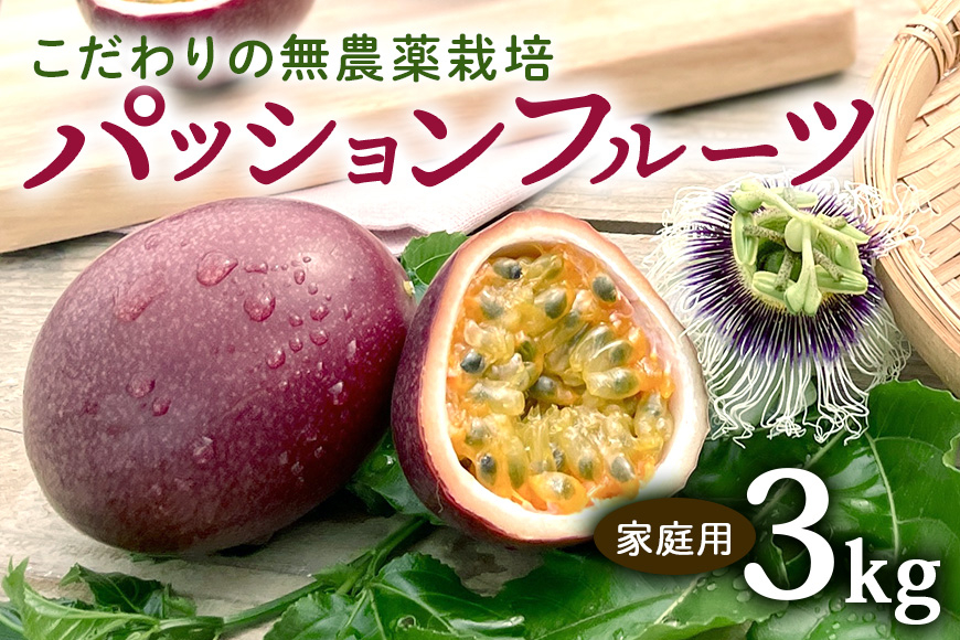 
                  【 先行予約 2027年 発送 】こだわりの無農薬栽培パッションフルーツ 3kg＜ご家庭用＞ 果物 フルーツ くだもの 3キロ 沖縄 果実 南国フルーツ 沖縄県産 美味しい 甘い あまい 甘み 酸味 爽やか 産地直送 農家直送 産直 家庭用 沖縄県 糸満市
                