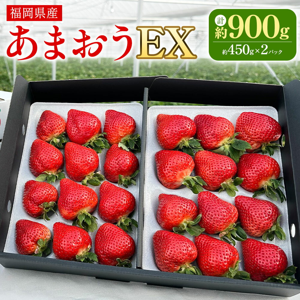 【ふるさと納税】ギフト配送 福岡県産あまおう EX 約450g×2パック〈特別栽培〉 あまおう いちご イチゴ 苺 フルーツ 果物 国産 九州産 福岡県 冷蔵 ブランド エコファーマー認定農家 GAP認定 送料無料 【2026年1月上旬～3月下旬発送予定】
