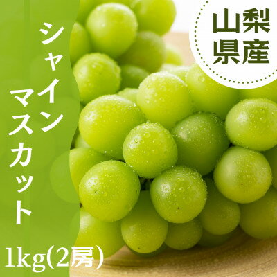 【ふるさと納税】【2025年先行予約】やみつきシャインマスカット 1kg秀【配送不可地域：離島】【1546294】