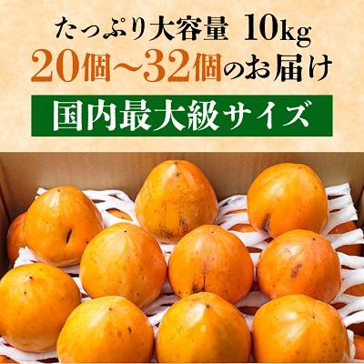 ふるさと納税 八幡浜市 《八幡浜特産 国内最大級の 柿》 富士柿 10kg 種無し【訳あり】【C20-22】 |  | 02