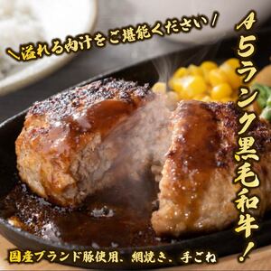 ハンバーグ 160g×24個 A5ランク 黒毛和牛 手ごねハンバーグ 冷凍 国産