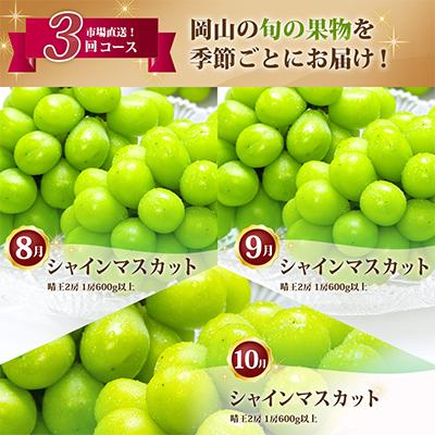 ふるさと納税 津山市 【発送月固定定期便】岡山県産 シャインマスカット『晴王』定期便全3回 |  | 01