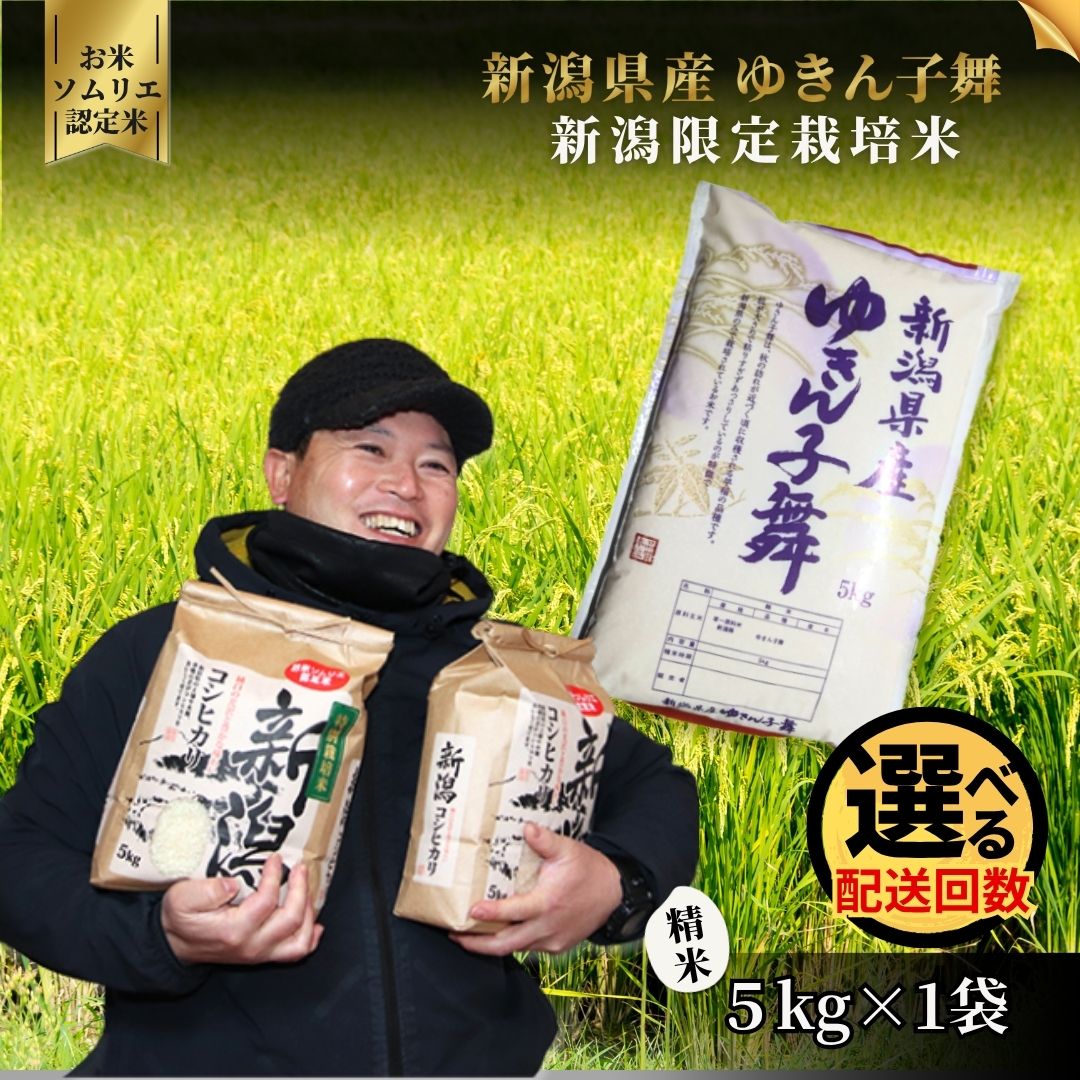 【ふるさと納税】令和7年産新米【お米ソムリエのお米】ゆきん子舞 精米 5kg（5kg×1袋）1回 or 6回 五泉市四ヶ村産 米 お米 新潟県 五泉市 エバーグリーン農場