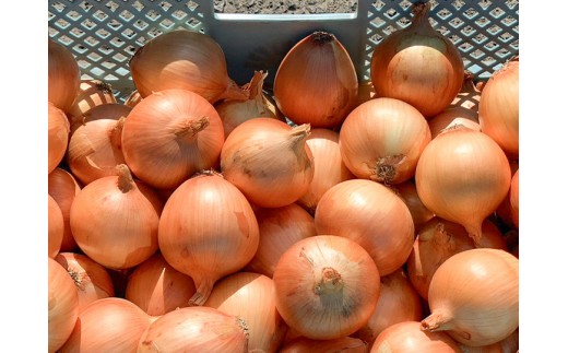 兵庫県認証食品★特別栽培★淡路島たまねぎ