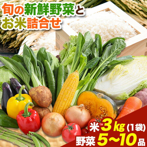 【ふるさと納税】旬の新鮮野菜とお米詰め合わせセット 野菜5〜10品目入 青空市きらり《30日以内に出荷予定》岡山県 矢掛町 野菜 野菜詰め合わせ 米 米3kg トマト きゅうり アスパラガス 玉ねぎ リーキ 送料無料