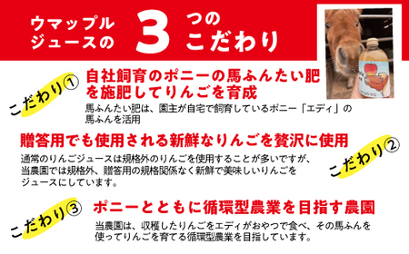 【 自社飼育 馬ふんたい肥 使用 】  UMAPPLEジュース ウマップルジュース りんごジュース 1000ml × 3本 酸化防止剤不使用 果汁100% 合同会社馬と 沖縄県への配送不可 飲料 果汁