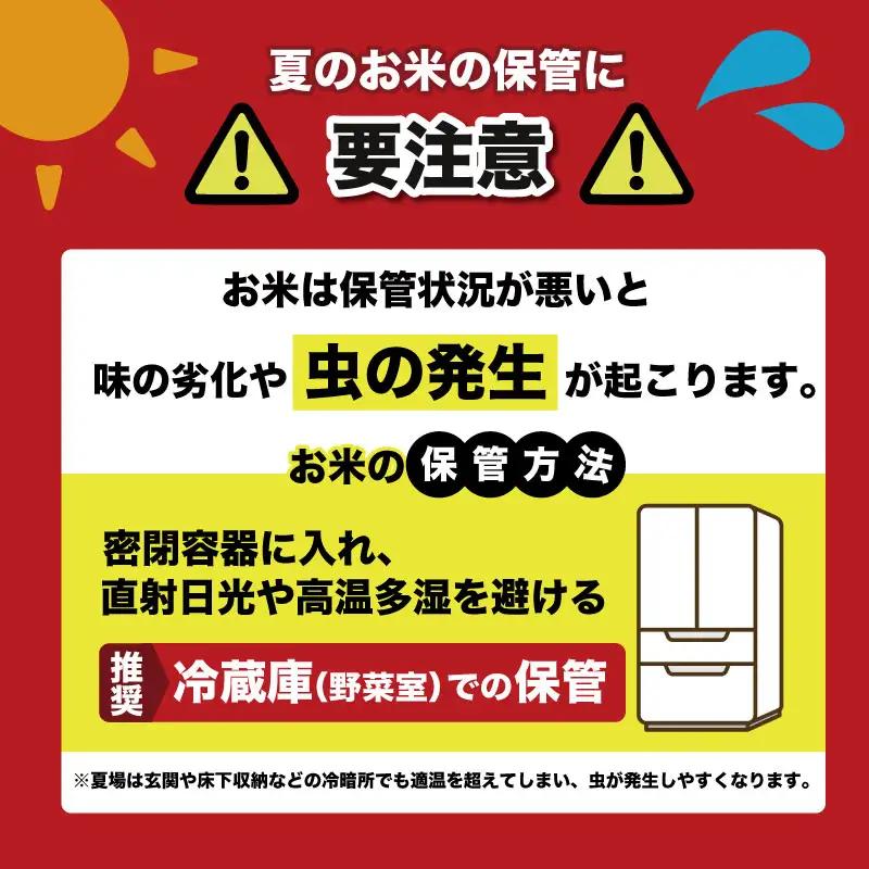 【こしひかり】令和8年度産 5kg×4回 こしひかり 米 AS005