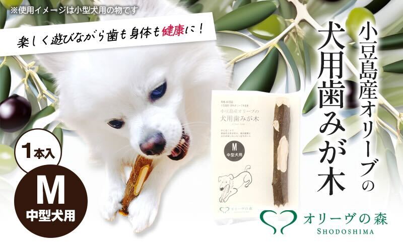 小豆島産オリーブの犬用はみが木　M(中型犬用)　1本入