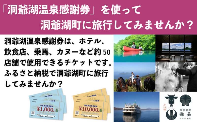 洞爺湖温泉感謝券 5000円 分 金券 クーポン 洞爺湖 湖 温泉 リゾート 有珠山 火山 自然 花火 イルミネーション 旅行 観光 宿泊 施設 北海道