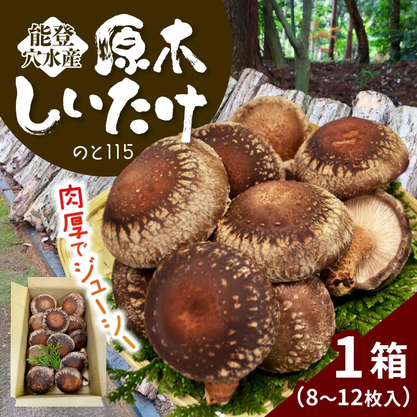【先行予約】奥能登 穴水産 原木しいたけ (のと115) 8～12枚 /  しいたけ