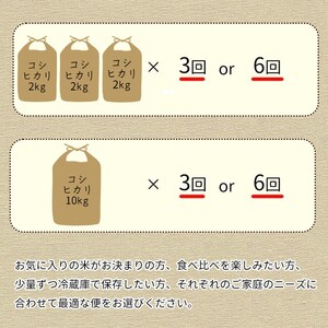 【6回定期便】コシヒカリ 6kg 定期便 精米 白米