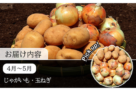 定期便 6回 常備野菜 セット 約5kg 詰め合わせ [吉岡青果 長崎県 雲仙市 item1299]