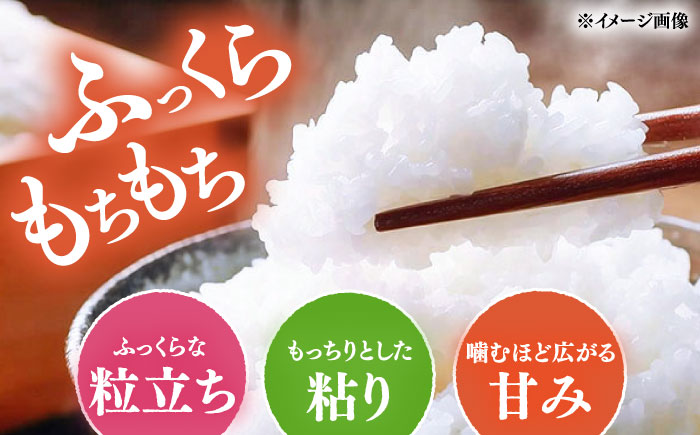 【R8年産】【2026年10月中旬頃より順次発送】特A 対馬産 にこまる 5kg×2「ほたる舞う三根川の米」 《対馬市》【永留しいたけ農園】新米 米 お米 ご飯 ごはん 白米 10kg 10キロ 産地
