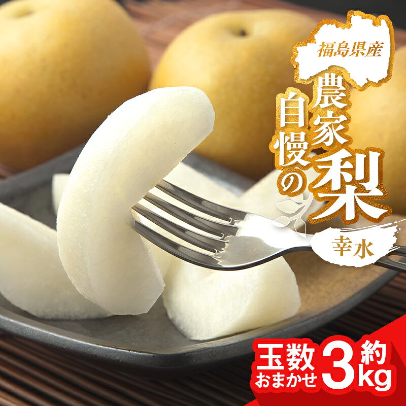 【ふるさと納税】農家自慢の梨 幸水 約3kg（玉数おまかせ） なし ナシ 梨 デザート フルーツ 果物 くだもの 果実 食品 FAI-0074