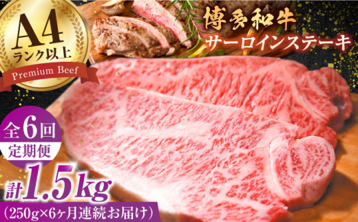 【6回定期便】博多和牛 サーロインステーキ250g×1枚 肉 牛肉 ステーキ 黒毛和牛 バーベキュー 広川町 / 株式会社MEAT PLUS [AFBO003]