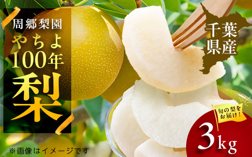 2026年発送先行受付 周郷梨園のやちよ100年梨(3kg)【1493887】