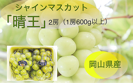 岡山県産 ぶどう定期便 全3回