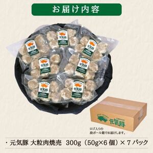 【毎月定期便】元気豚 大粒肉焼売セット 42個セット(計2.1kg)全9回【配送不可地域：離島・沖縄県】【4055283】