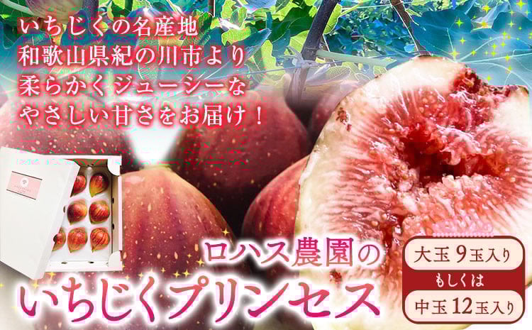 
            いちじくプリンセス ロハス農園《8月中旬-11月末頃出荷》和歌山県 紀の川市 無花果 イチジク【配送不可地域あり】 
          
