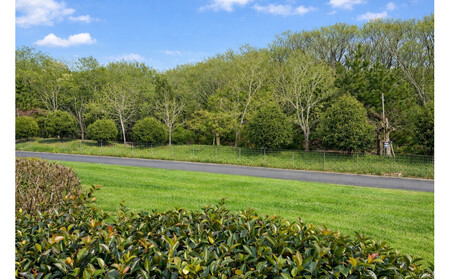 ラリージャパン【藤岡SSS（緑化センター芝生広場観戦エリア）観戦券／大人１名（シャトルバス）】5月30日（土）