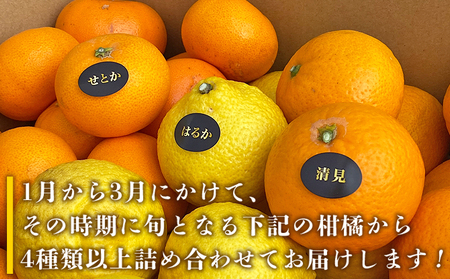 夕焼け山農園 愛媛県西予市産柑橘詰め合わせ（せとか、はるか、清見）計５kg AYN0002