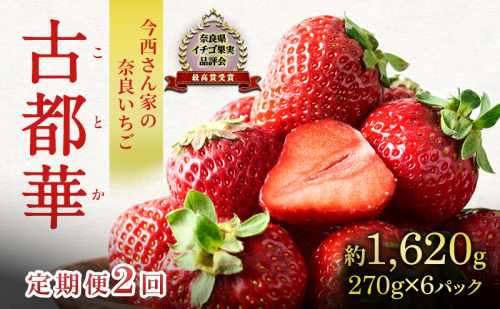 定期便 2回 いちご 奈良県産 古都華 約1620g 270g×6パック 今西さん家の奈良いちご ことか 冷蔵配送 BN001