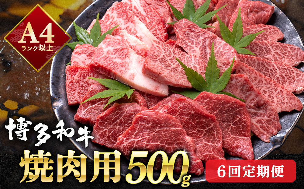 ＜定期便・全6回＞【和牛の焼肉セット！】博多和牛 焼肉用 500g 牛肉 肉  焼肉 国産 黒毛和牛