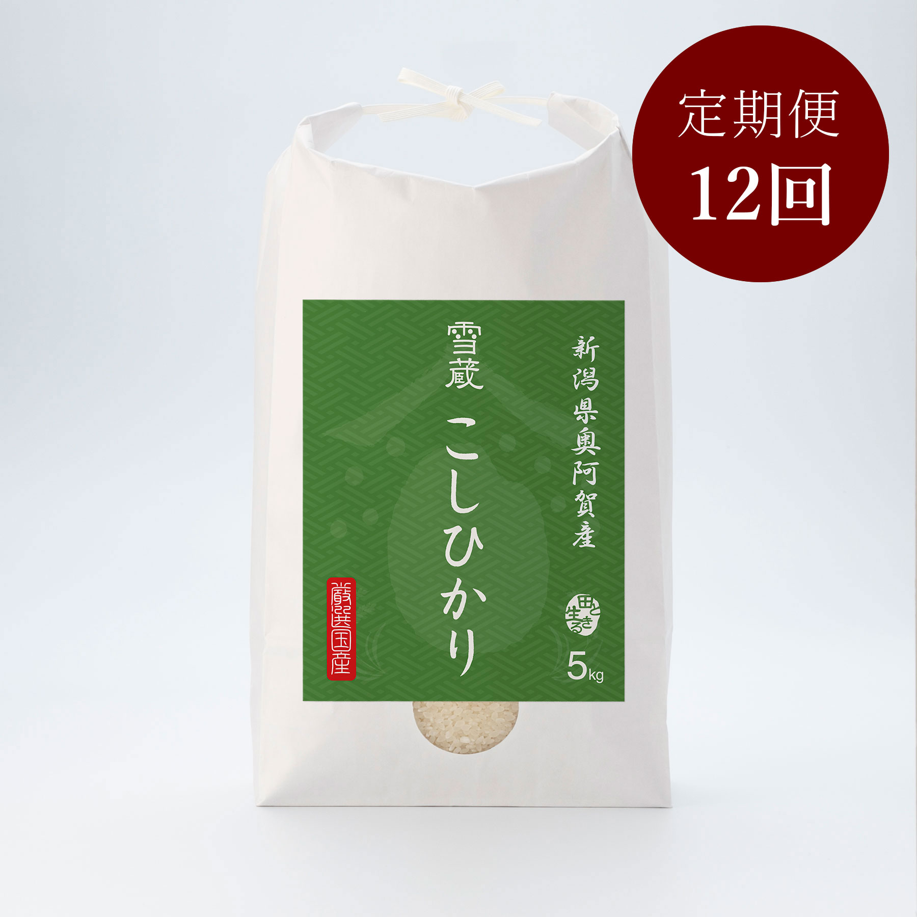 新潟県奥阿賀産こしひかり5kg 定期便12回