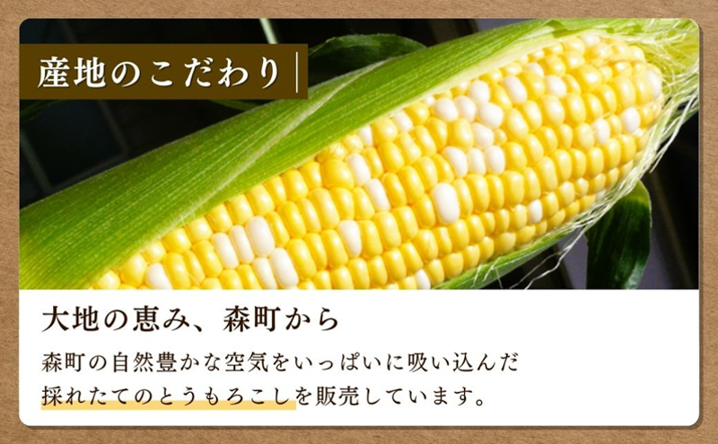 先行予約 とうもろこし 10～14本入り 田中農園 甘い 野菜 夏野菜 旬 夏 高糖度 産地直送 旬の野菜 季節の野菜 おやつ コーン 森のとうもろこし ロイシーコーン 甘太郎 先行 予約 2025 