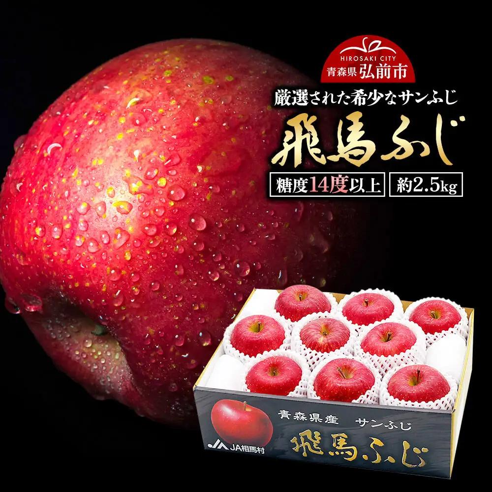 りんご 糖度14度以上 飛馬ふじ（サンふじ）約 2.5kg【12月～発送】りんご