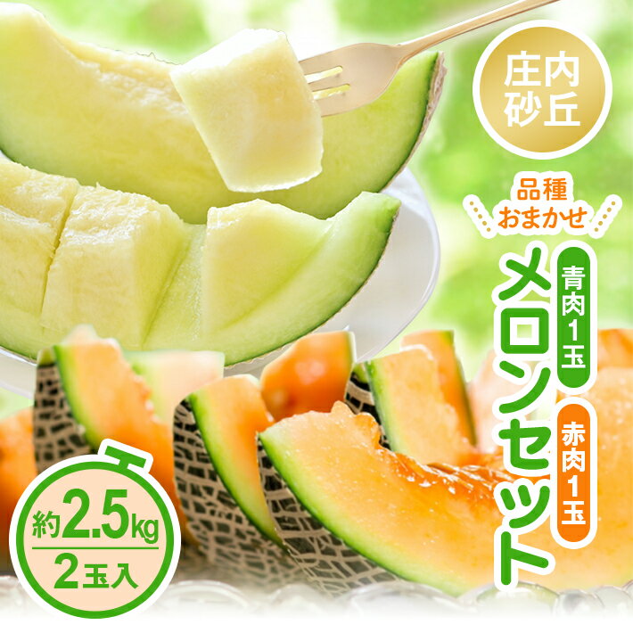 【ふるさと納税】庄内砂丘 青肉・赤肉メロンセット 品種おまかせ 2玉 約2.5kg 6月中旬〜7月下旬頃お届け ※着日指定不可 庄内砂丘メロン オレンジ 緑 夏 果物 フルーツ くだもの 旬 東北 山形県 酒田市 庄内
