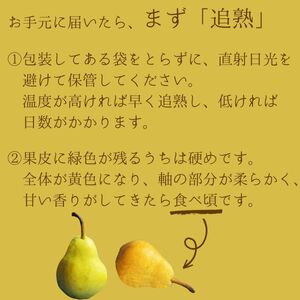 11月末より順次発送開始 ル・レクチェ 約3kg