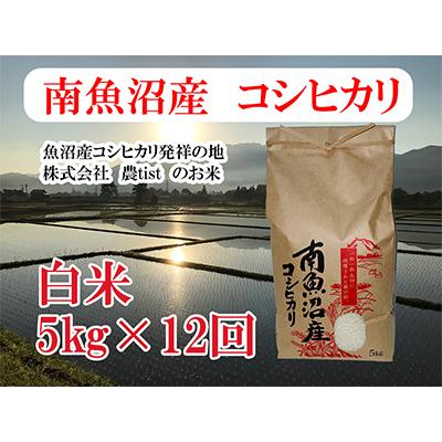 ふるさと納税 南魚沼市 【毎月定期便】南魚沼産 コシヒカリ 白米5kg 全12回