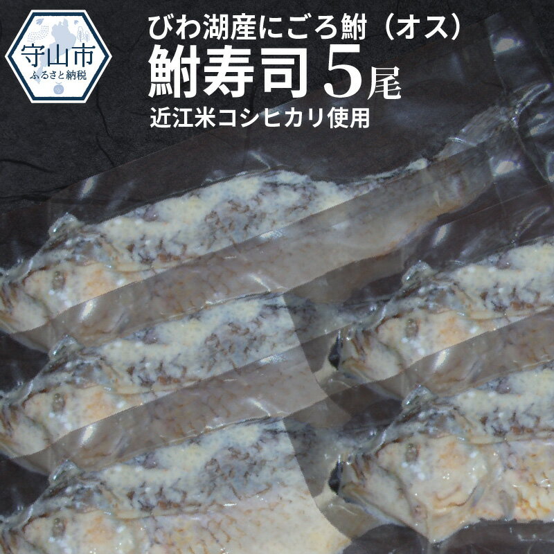 【ふるさと納税】びわ湖産にごろ鮒（オス）鮒寿司 5尾 滋賀県（近江）の郷土料理 名産 ふなずし 琵琶湖産ふな使用 発酵食品 おつまみ 酒の肴 日本酒のお供に