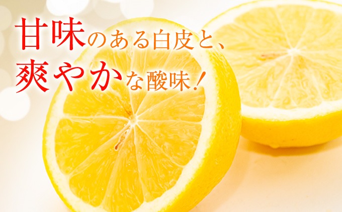 先行予約 訳あり 宮浦産 日向夏 計10kg以上 期間限定 数量限定 フルーツ 果物 くだもの 柑橘 みかん 令和8年発送 国産 産地直送 新鮮 食品 ジュース デザート フルーツサンド おやつ ご褒