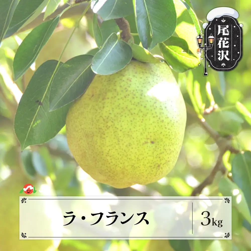 ラフランス 約3kg 秀以上 ja-laxxx3