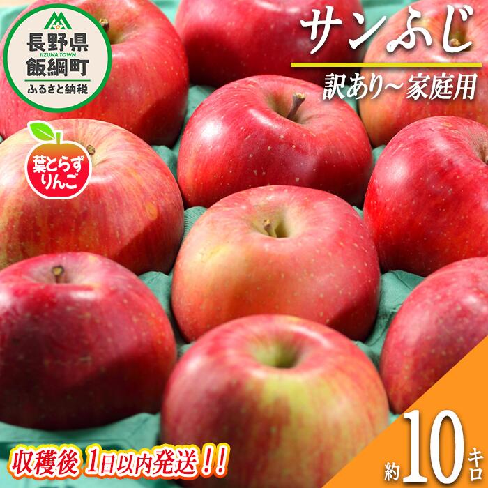 【ふるさと納税】 りんご 葉とらず サンふじ 訳あり～家庭用 10kg 採れたてを発送 フレッシュフルーツミカズキ 令和7年収穫 長野県 飯綱町 〔 傷 不揃い リンゴ 果物 フルーツ 信州 長野 予約 農家直送 〕発送時期：2025年11月中旬頃〜2025年11月下旬頃 {*}