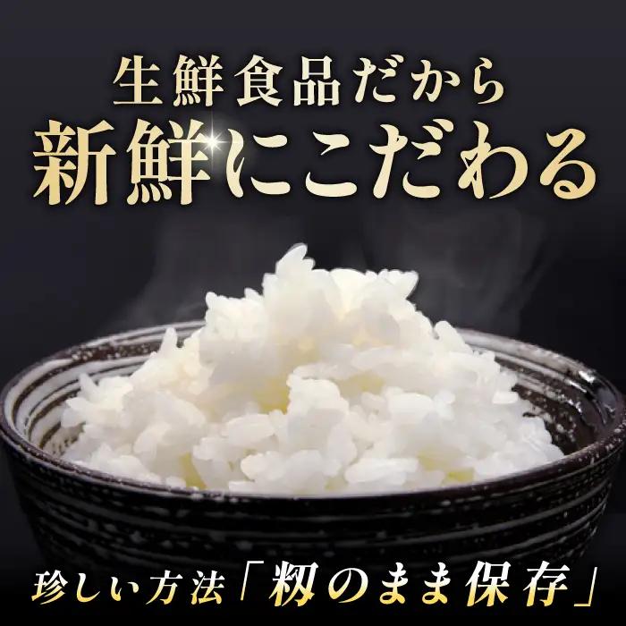 出雲國仁多米5kg【仁多米 コシヒカリ こしひかり 5kg ブランド米 お米 米 精米 白米 人気 令和7年度産 2025年度産】