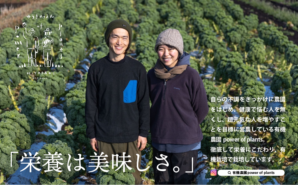 綾町産有機ケール 500g[おすすめレシピ付き]