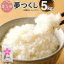 【ふるさと納税】【令和6年産】福岡県産 夢つくし 研ぐお米 5kg お米 精米 米 ご飯 5キロ 九州産 国産 送料無料