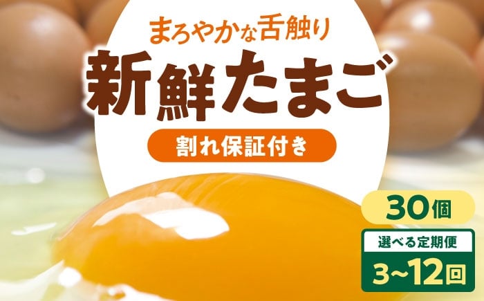 
            卵 定期便【選べるお届け回数】卵 平飼い 海草たまご 3パック（30個入り）割れ保証あり 愛媛県大洲市/和田養鶏所 卵 定期便 たまご 卵 鶏卵 たまご 玉子 タマゴ エッグ 生卵 国産 卵焼き 卵料理 卵かけご飯 たまごかけご飯 温泉卵 ゆでたまご 朝食 夕食 夜ご飯 おかず 栄養満点 割れ保証 [AGDQ005]
          