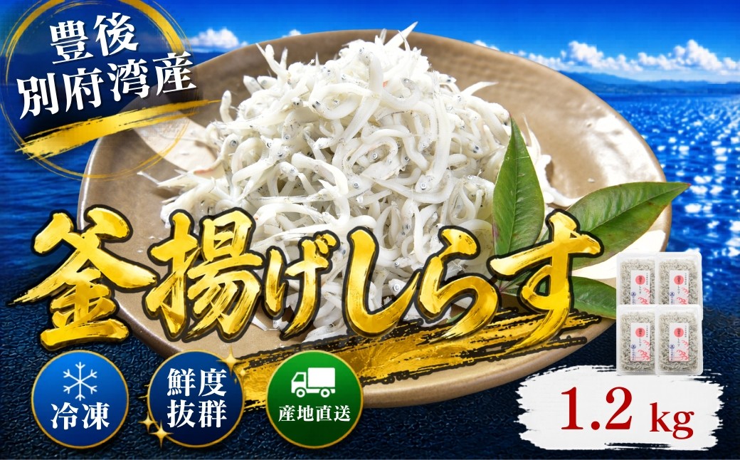 
                  豊後別府湾釜揚げしらす 計 1.2kg（300g×4p） 国産 添加物不使用 ／ 釜揚げしらす かまあげしらす カマアゲシラス 小分け 国産 しらす シラス 1kg 1キロ 釜揚げ シラス丼 海鮮丼 おつまみ 冷凍配送 冷凍 スピード発送 スピード ＜108-214＞
                